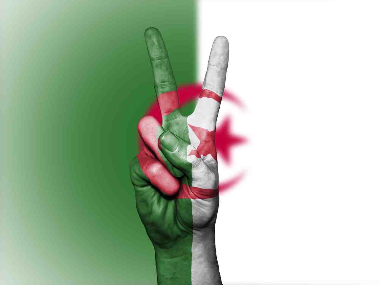 algérie, drapeau, la paix